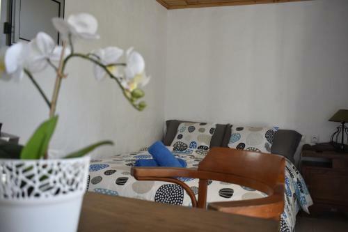 Hostel B&B Charco Azul