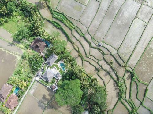 The Villa Rossi Ubud