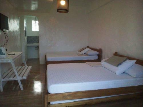 Posada Bluecoco Baler Beach House
