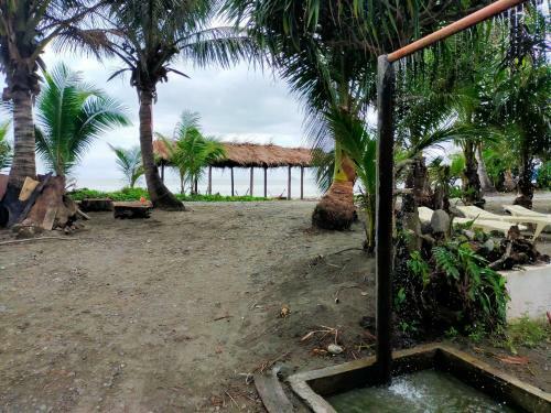 Hotel North Shore Beach Resort