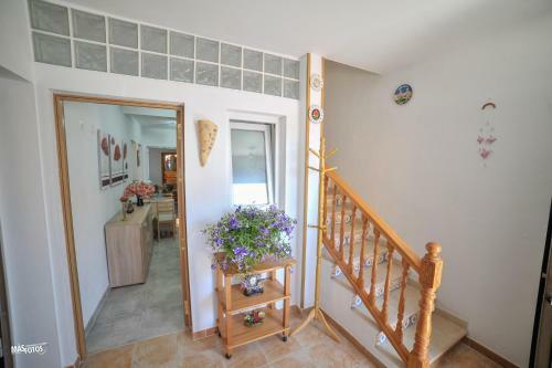 Apartamento Naturaleza Viva