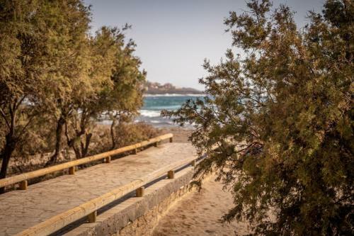 Apartamento Riazor, El Medano Beach