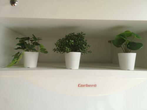 Apartamento Loft Canary Dream