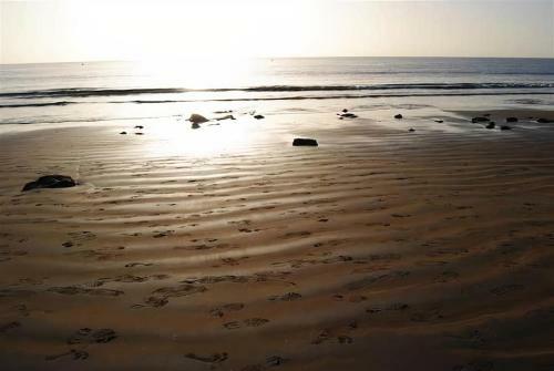 Apartamento Amazing Beachfront Property