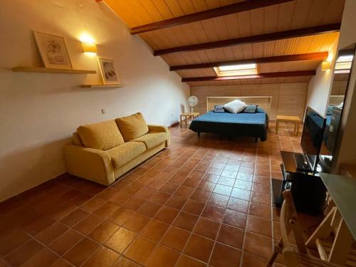Apartamento Balancon Medano