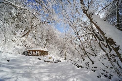 Hostal Shukubo Komadori-sanso