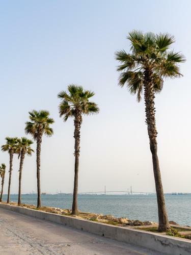 Apartamento Vistalmar Puerto Sherry - Oloroso