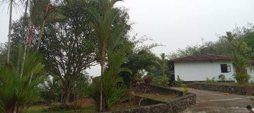 River Side Palm Garden
