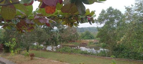 River Side Palm Garden