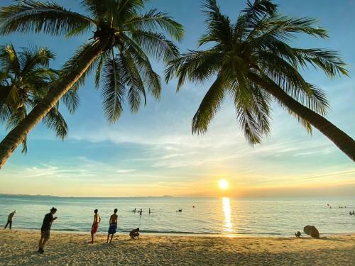 Hostal Sea Sand Trees