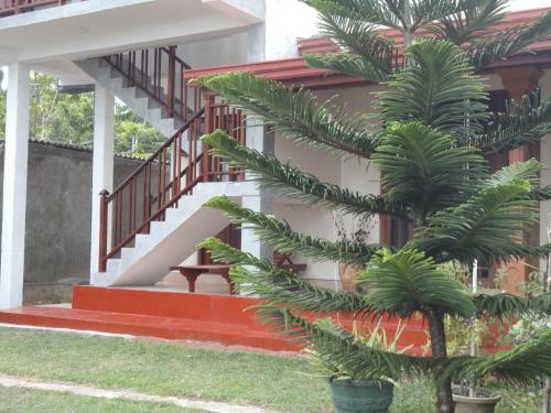 Bed & Breakfast Sapara River Guest