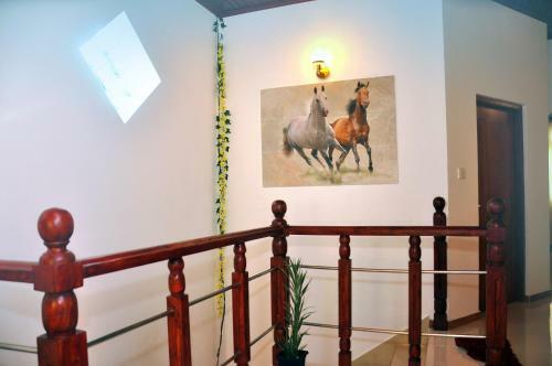 Hostal Senero House