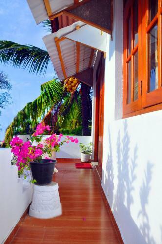 Hostal Senero House