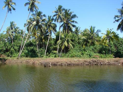Hotel Villa Estuary