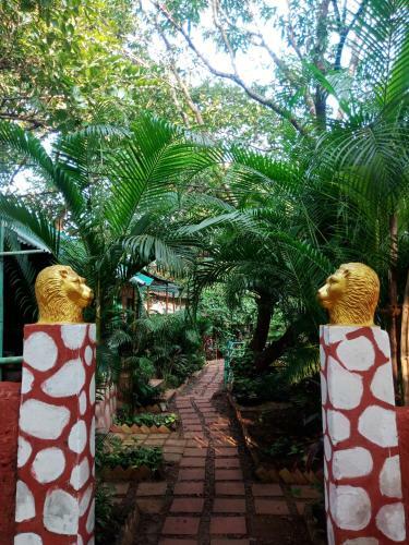 Lodge Casa Courtyard