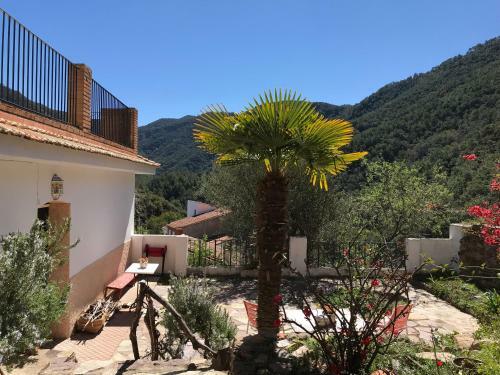 La Casita Pe�ablanca
