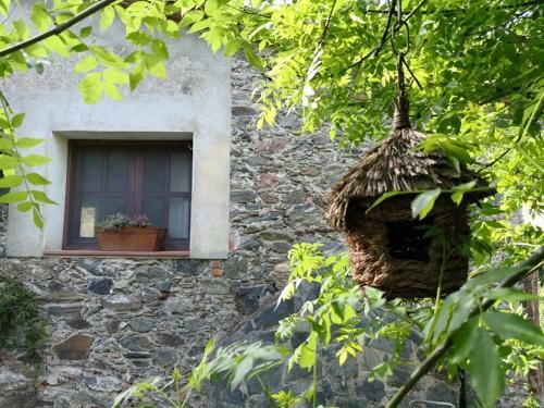 Agroturismo El Moli Del Montseny