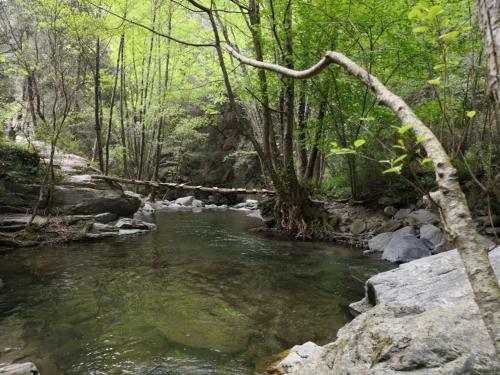 Agroturismo El Moli Del Montseny