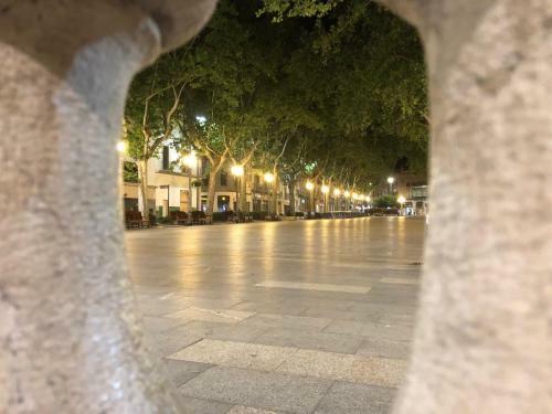 Apartamento Can Jeroni