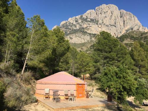 Yurta Naranja
