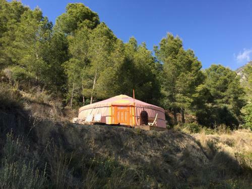 Yurta Naranja
