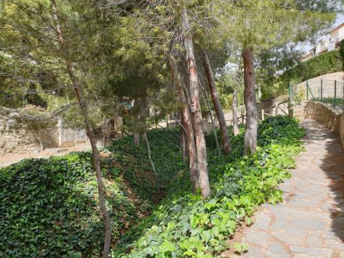 Adosado Los Olivos, Sierra Cortina