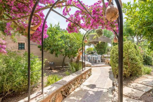 Finca Son Sol�