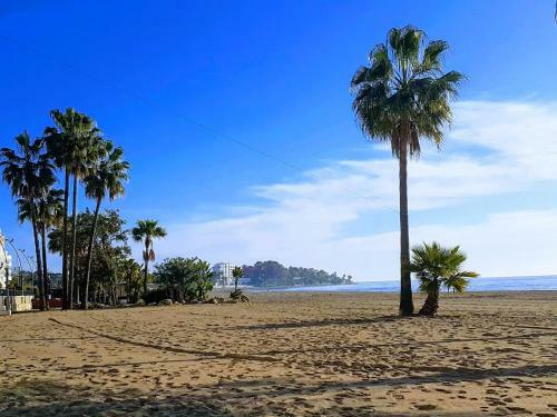 Apartamento C�ntrico Frente A La Playa.