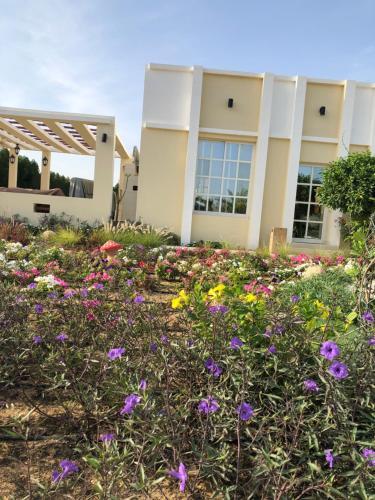 Agroturismo Al Ghoroub Farm Stay - ????? ?????? ??????? ??????