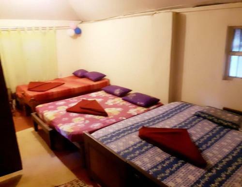 Tripthrill Ibbani Homestay