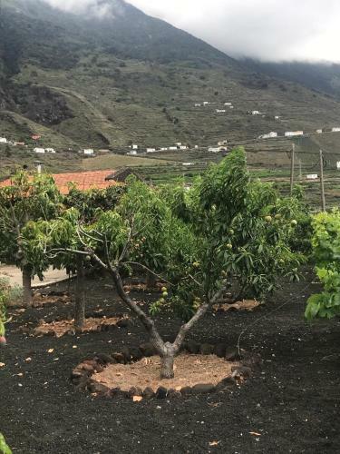 Casa La Gorona