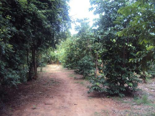 Agroturismo Nebula Farm House