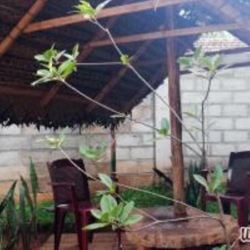Umesh Homestay Dambulla