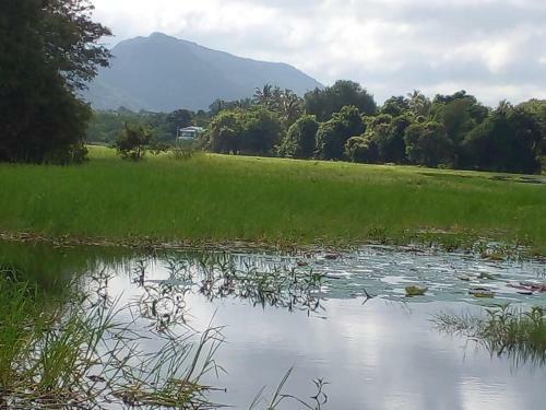 Lake Edge Dambulla