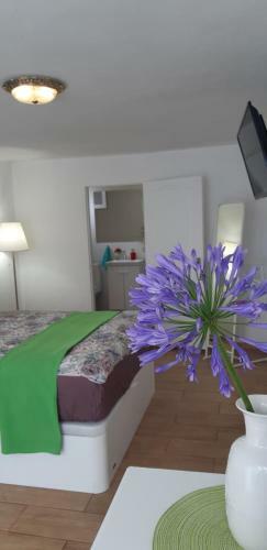 Apartamento Welcome