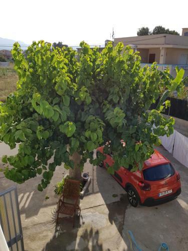 Exclusive Apartment - Playa de Marenys de Rafalcaid