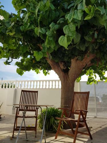 Exclusive Apartment - Playa de Marenys de Rafalcaid