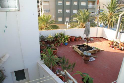 Apartamento En Puerto de Gandia