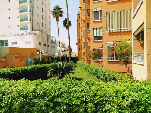 Apartamento Antillas