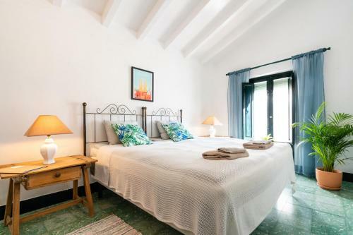 Bed & Breakfast Limonero Bnb