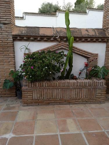 Hostal Rancho El Abuelo