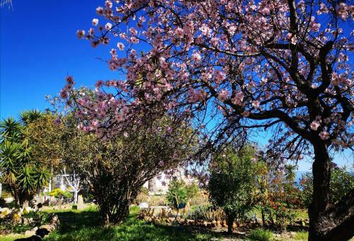 Finca Dulce