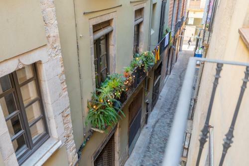 Apartamento Flateli Cort Reial 10