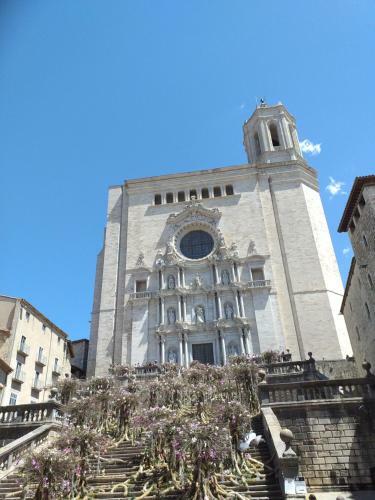 Centrico Y Acogedor Apartamento