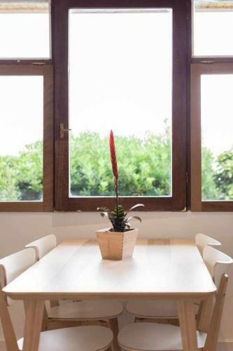 Lur Apartaments Getaria