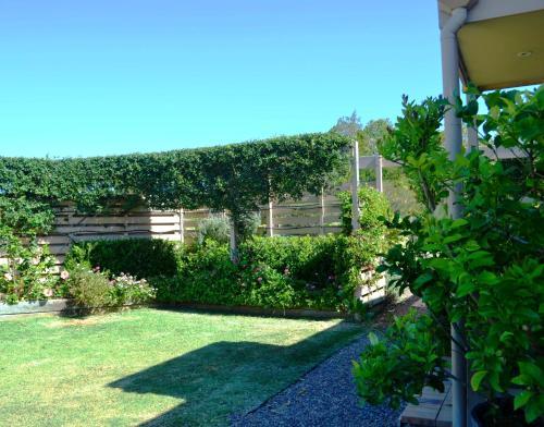 Bed & Breakfast Grapevines Boutique Accommodation