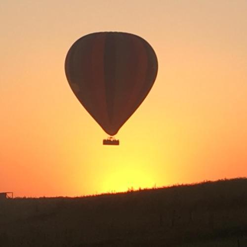 Bed & Breakfast Grapevines Boutique Accommodation