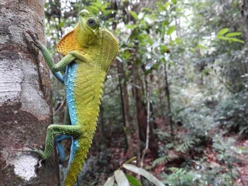 Hostal Rainforest River Bay