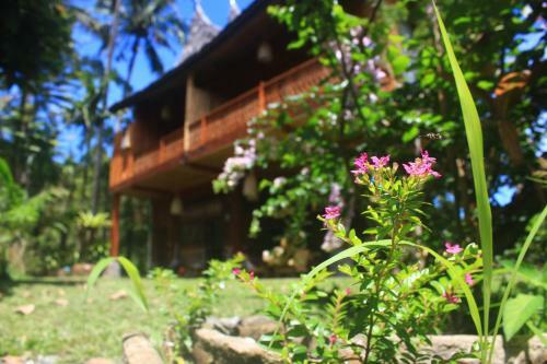 Hotel Padi Ecolodge