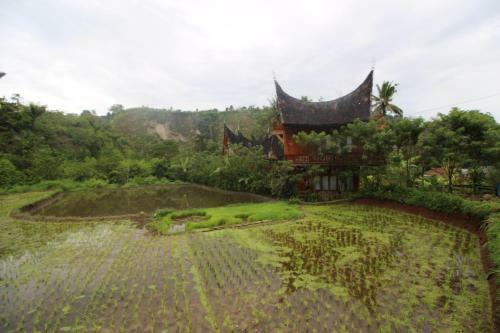 Hotel Padi Ecolodge